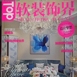 作品刊登在TOP《軟裝飾界》